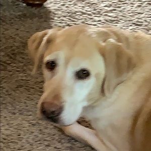 Meet your Posher, Ali